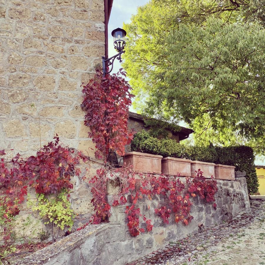 La Locanda Della Chiocciola Orte Εξωτερικό φωτογραφία